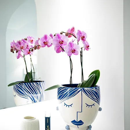 La Divina Amalfi Coast 4*